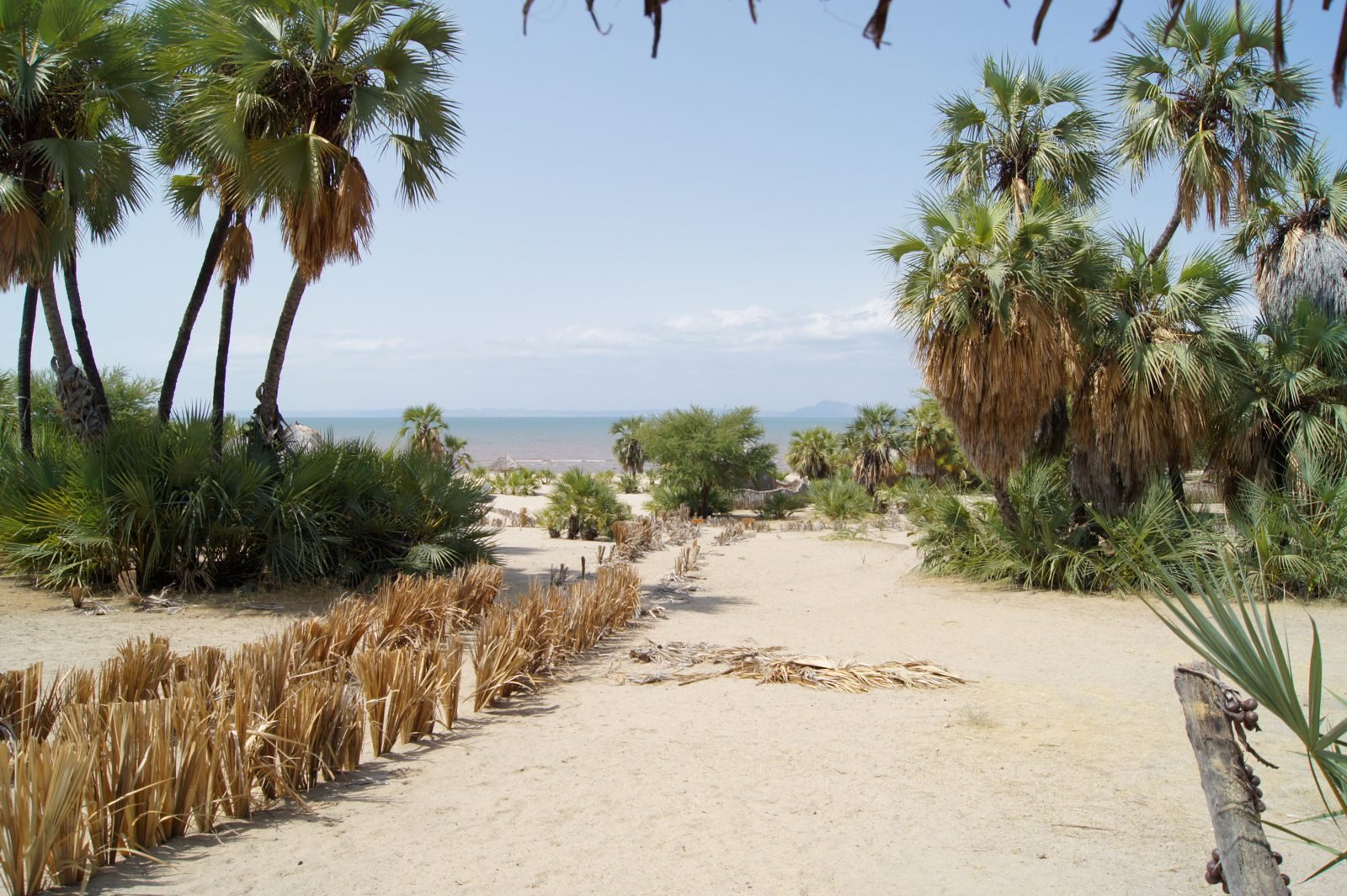 Hồ Turkana trong khu vực đới tách giãn Đông Phi