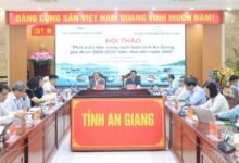 Chủ tịch UBND tỉnh An Giang Hồ Văn Mừng và Chủ tịch Hiệp hội Nuôi biển Việt Nam Nguyễn Hữu Dũng chủ trì hội thảo