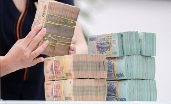 Bộ Tài chính đề xuất chưa tạm hoãn xuất cảnh đối với người dân bị mạo danh thông tin lập doanh nghiệp