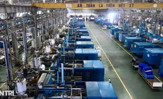 Vai trò tư vấn chiến lược của ngân hàng giúp doanh nghiệp triển khai ESG bài bản và tránh rủi ro tẩy xanh