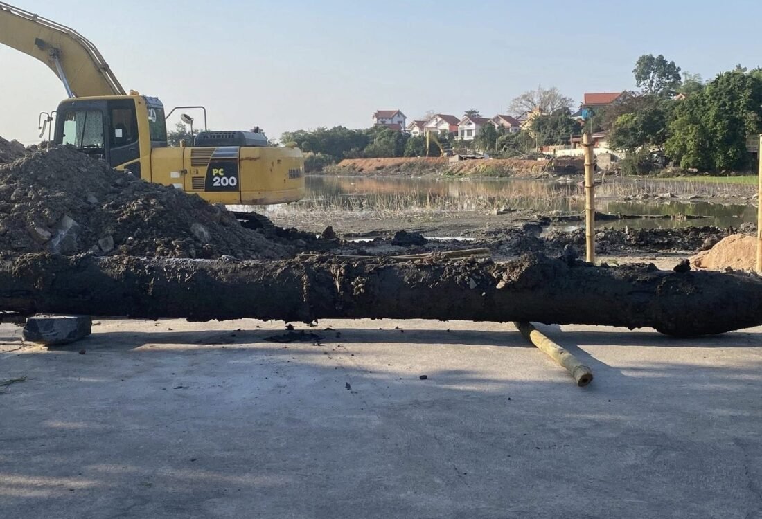 Cọc gỗ tại khu khai quật Kiếp Bạc
