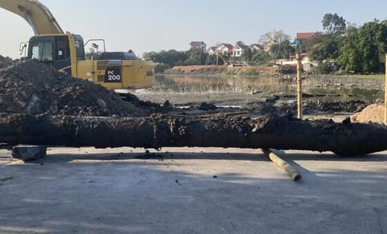 Cọc gỗ tại khu khai quật Kiếp Bạc