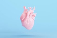Bác sĩ tim mạch tầm soát bệnh cơ tim nhiễm bột bằng siêu âm tim và xạ hình cơ tim hiện đại