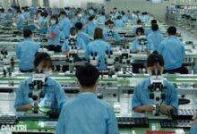 Kim ngạch xuất nhập khẩu của Việt Nam chính thức đạt kỷ lục lịch sử 1.000 tỷ USD tính đến ngày 29/10/2026