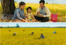 Ca sĩ Phương Mỹ Chi trong MV Gạo của ta tôn vinh giá trị hạt gạo Việt Nam
