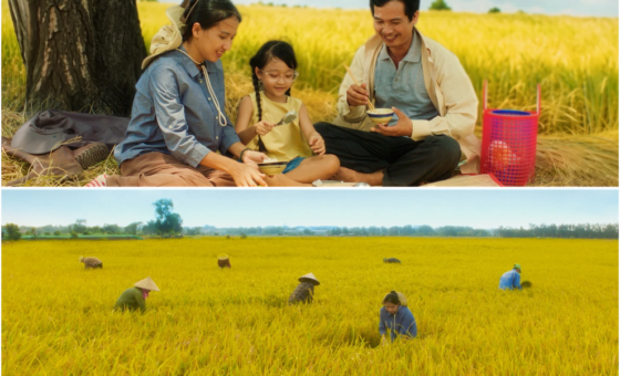 Ca sĩ Phương Mỹ Chi trong MV Gạo của ta tôn vinh giá trị hạt gạo Việt Nam