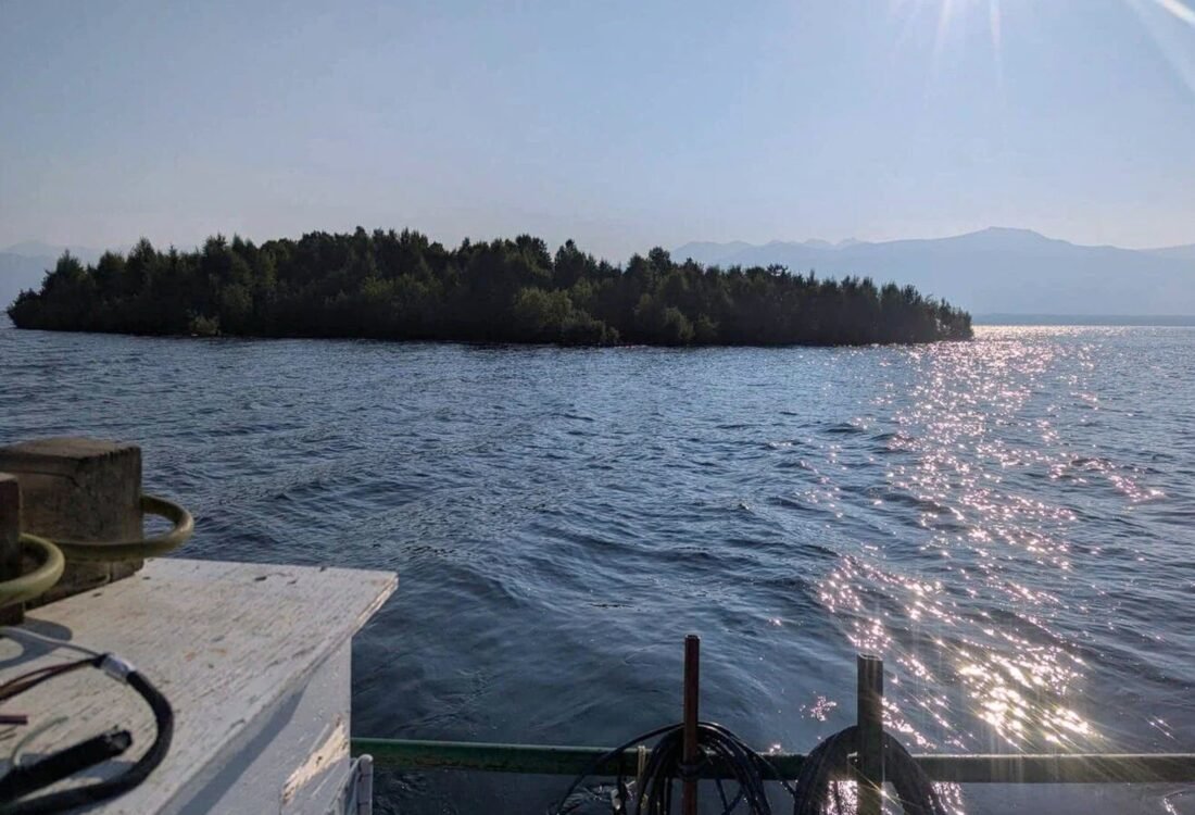 Đảo nổi có cây xanh trên hồ Williston tại Canada