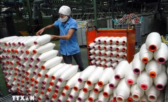 Ảnh tư liệu sản xuất sợi cotton phục vụ xuất khẩu