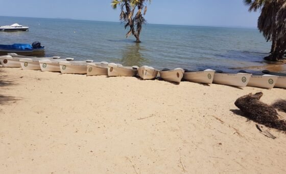 Cảnh quan hồ Turkana tại Kenya