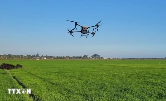 Drone hoạt động ngoài trời, ảnh minh họa của bản tin; không xác nhận vị trí trong phạm vi được cấp phép bay mới. Hoàng Nhị/TTXVN