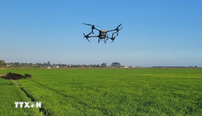 Drone hoạt động ngoài trời, ảnh minh họa của bản tin; không xác nhận vị trí trong phạm vi được cấp phép bay mới. Hoàng Nhị/TTXVN