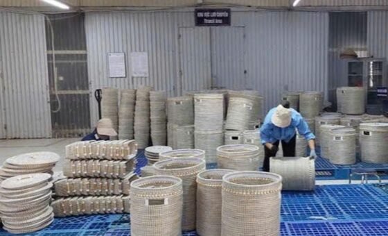 Bảo vệ môi trường trong sản xuất làng nghề