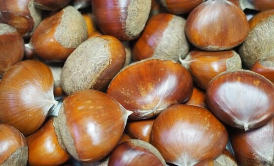 Hạt dẻ, ảnh chụp minh họa thực phẩm