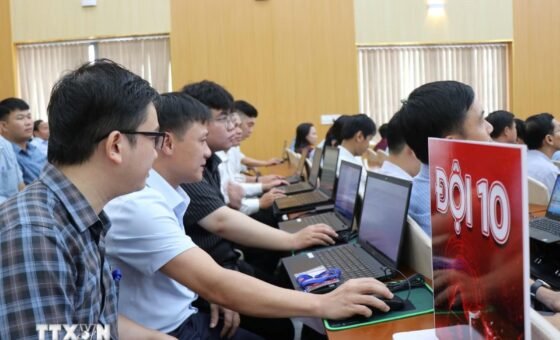 Nhân viên sử dụng máy tính tại cơ quan, ảnh minh họa quản lý dữ liệu