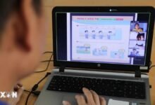 Người sử dụng máy tính, ảnh minh họa của bản tin về việc kiểm tra lỗ hổng PHP