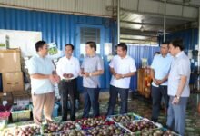 Bí thư Tỉnh ủy Đắk Lắk Lương Nguyễn Minh Triết thăm các mô hình phát triển nông nghiệp