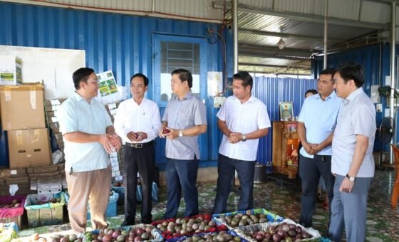 Bí thư Tỉnh ủy Đắk Lắk Lương Nguyễn Minh Triết thăm các mô hình phát triển nông nghiệp