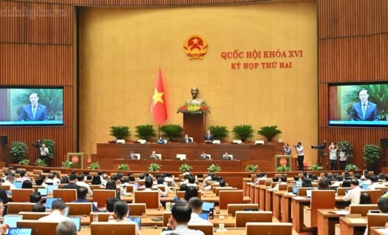 Các đại biểu Quốc hội thảo luận tại Hội trường về dự thảo Bộ luật Hình sự (sửa đổi) và dự án Luật Tổ chức cơ quan điều tra hình sự (sửa đổi)