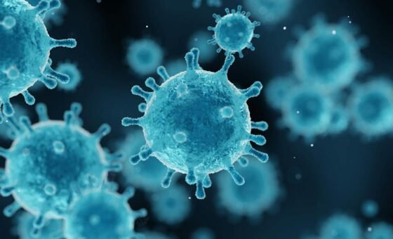 Chuyên gia dịch tễ học phân tích mẫu bệnh phẩm virus Shamonda dưới kính hiển vi trong phòng thí nghiệm