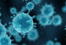 Chuyên gia dịch tễ học phân tích mẫu bệnh phẩm virus Shamonda dưới kính hiển vi trong phòng thí nghiệm