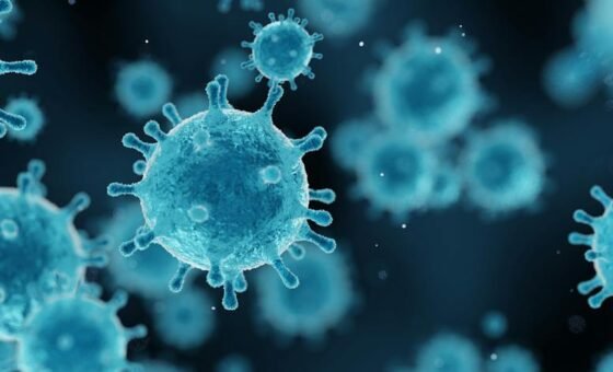 Chuyên gia dịch tễ học phân tích mẫu bệnh phẩm virus Shamonda dưới kính hiển vi trong phòng thí nghiệm
